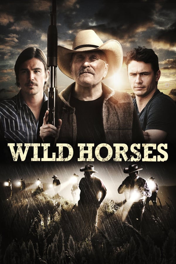 Cover of the movie Wild Horses