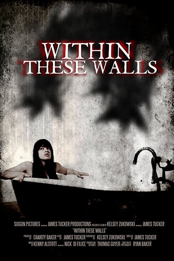 Cover of the movie Within These Walls