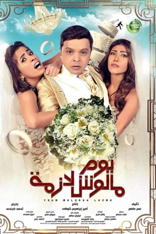 Cover of the movie Youm Malouch Lazma