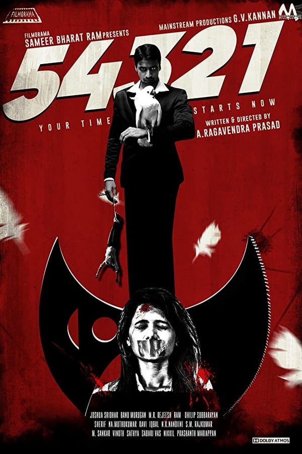 Cover of the movie 54321