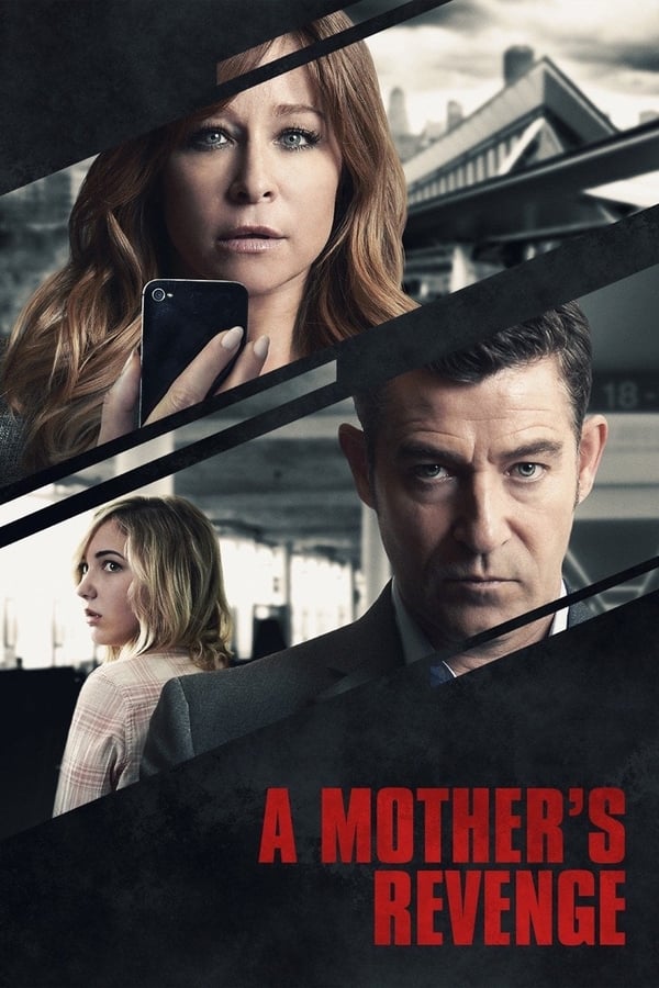 Cover of the movie A Mother's Revenge