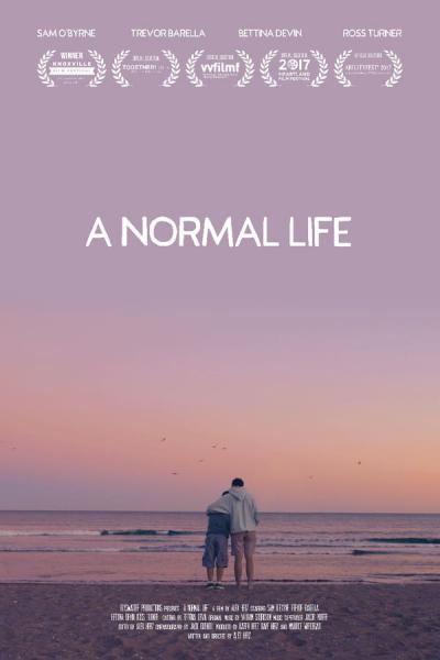 Cover of the movie A Normal Life