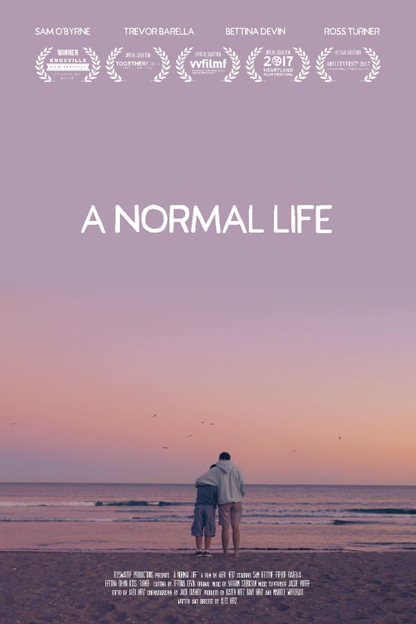 Cover of the movie A Normal Life