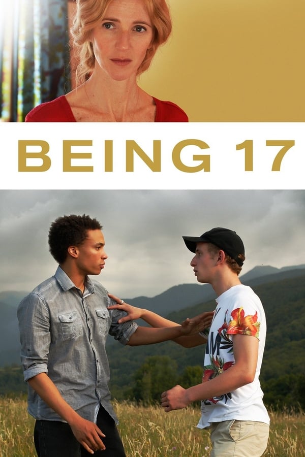 Cover of the movie Being 17