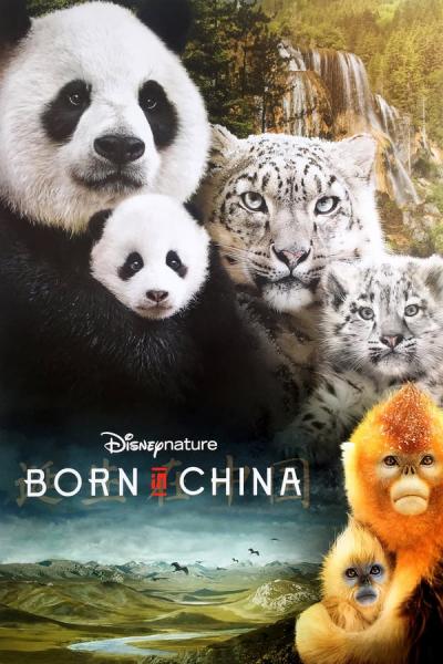 Cover of Born in China