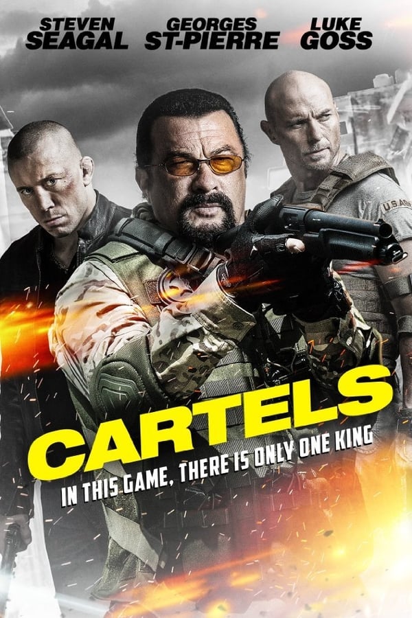 Cover of the movie Cartels
