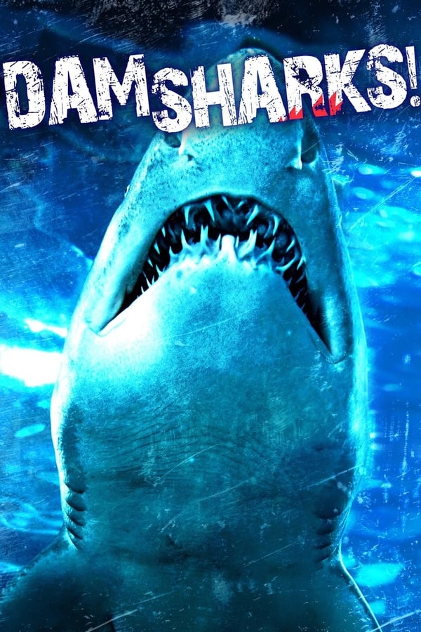 Cover of the movie Dam Sharks!