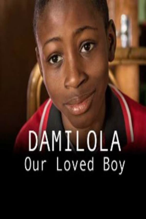 Cover of the movie Damilola, Our Loved Boy