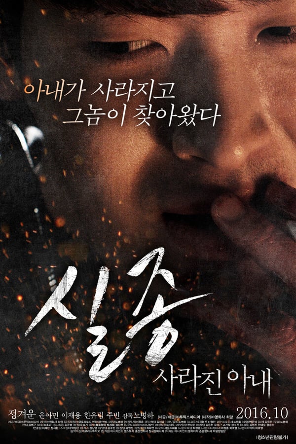 Cover of the movie Disappearance: Missing Wife