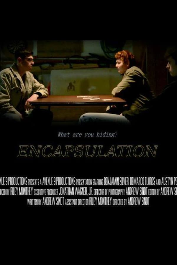 Cover of the movie Encapsulation