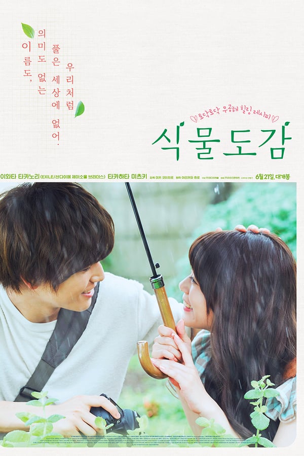 Cover of the movie Evergreen Love