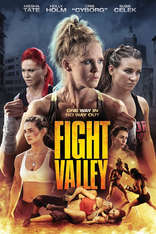 Cover of the movie Fight Valley