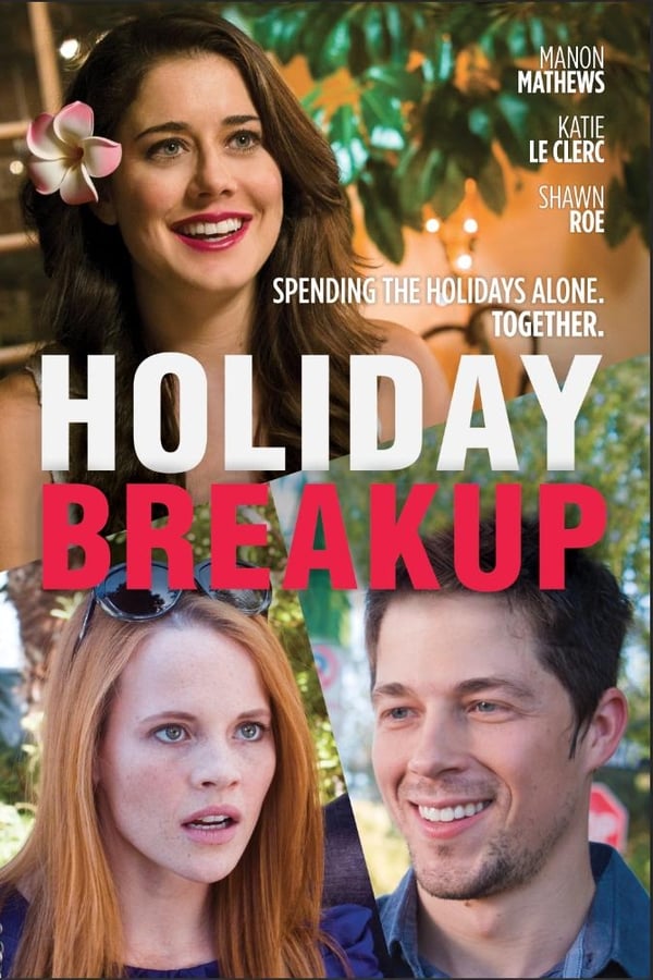 Cover of the movie Holiday Breakup