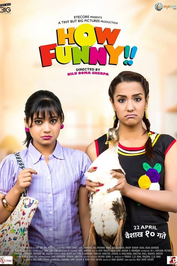 Cover of the movie How Funny
