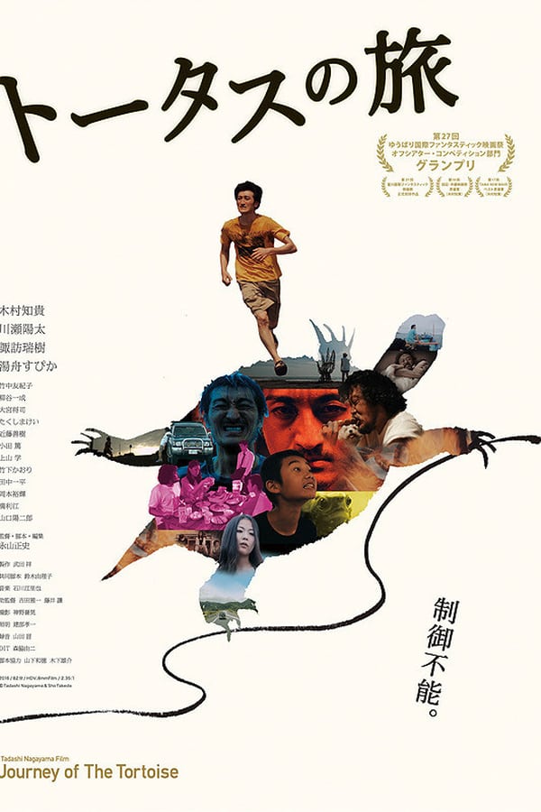 Cover of the movie Journey of the Tortoise