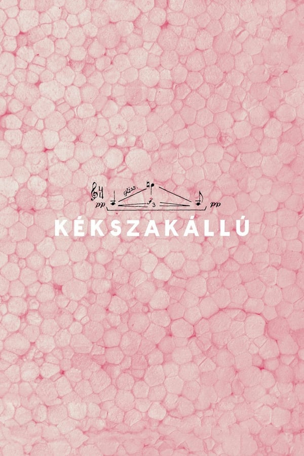 Cover of the movie Kékszakállú