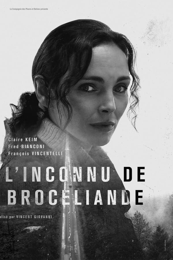 Cover of the movie L'Inconnu de Brocéliande