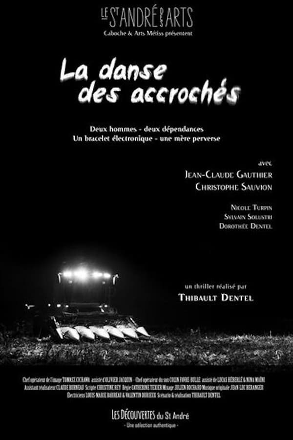 Cover of the movie La danse des accrochés