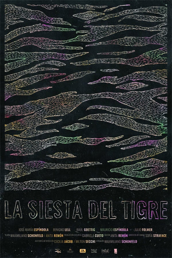 Cover of the movie La siesta del tigre