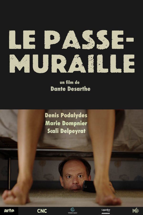 Cover of the movie Le passe-muraille
