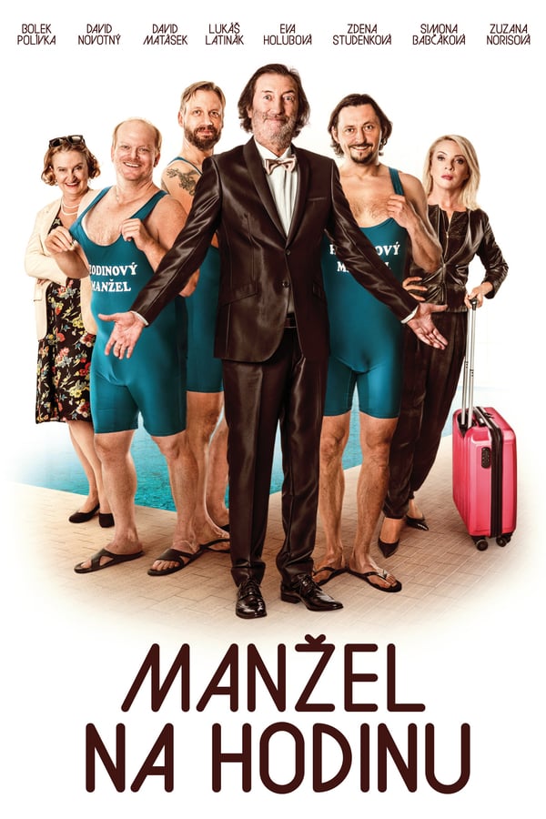 Cover of the movie Manžel na hodinu