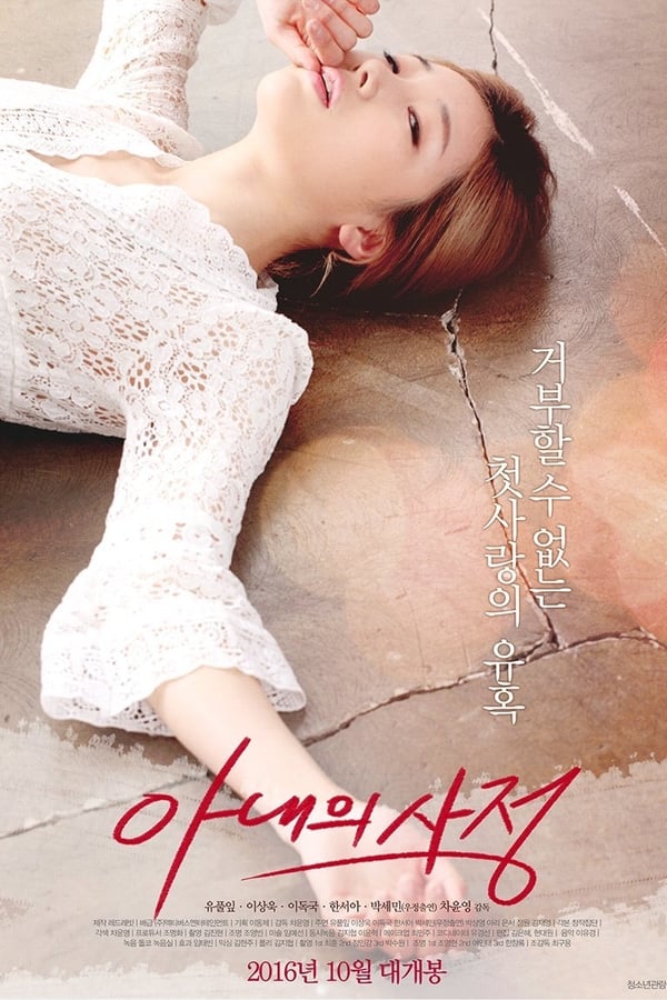 Cover of the movie My Wife's Excuse
