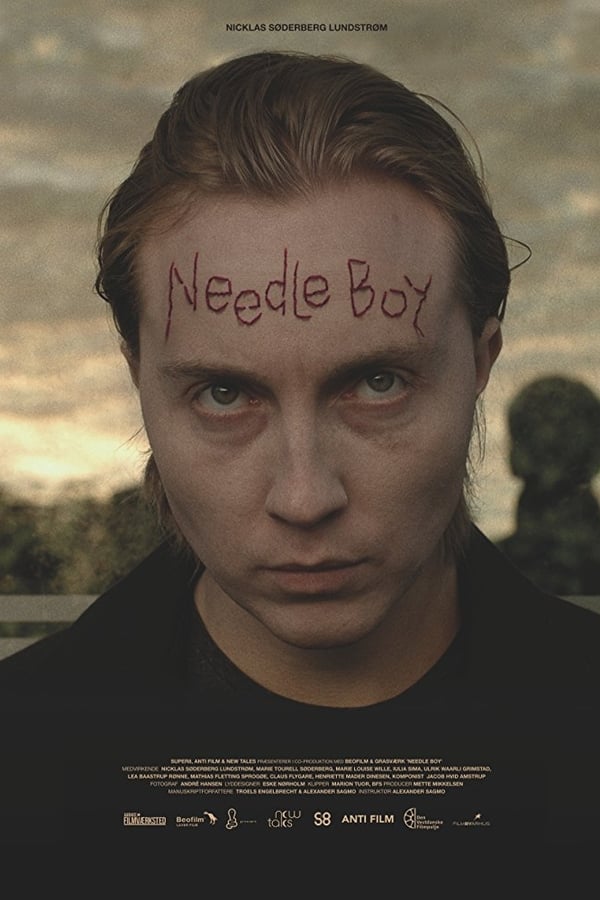 Cover of the movie Needle Boy