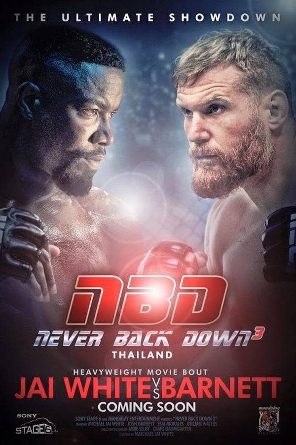 Cover of the movie Never Back Down: No Surrender
