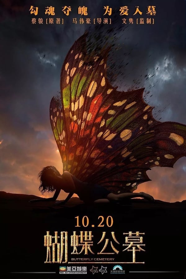 Cover of the movie On Fallen Wings