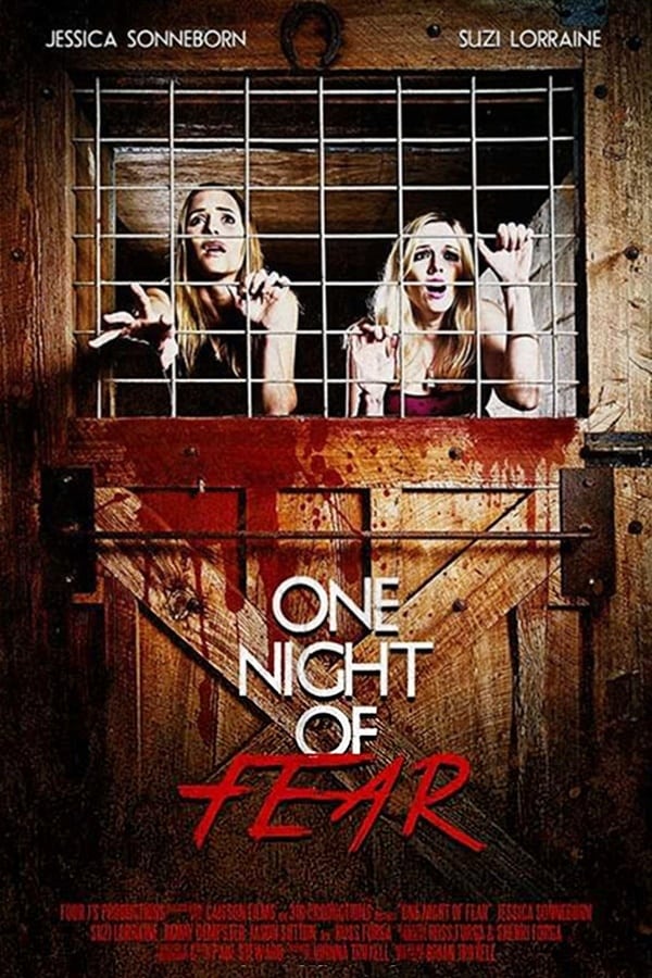 Cover of the movie One Night of Fear