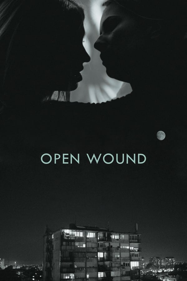 Cover of the movie Open Wound