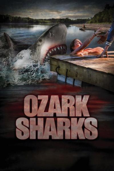 Cover of Ozark Sharks