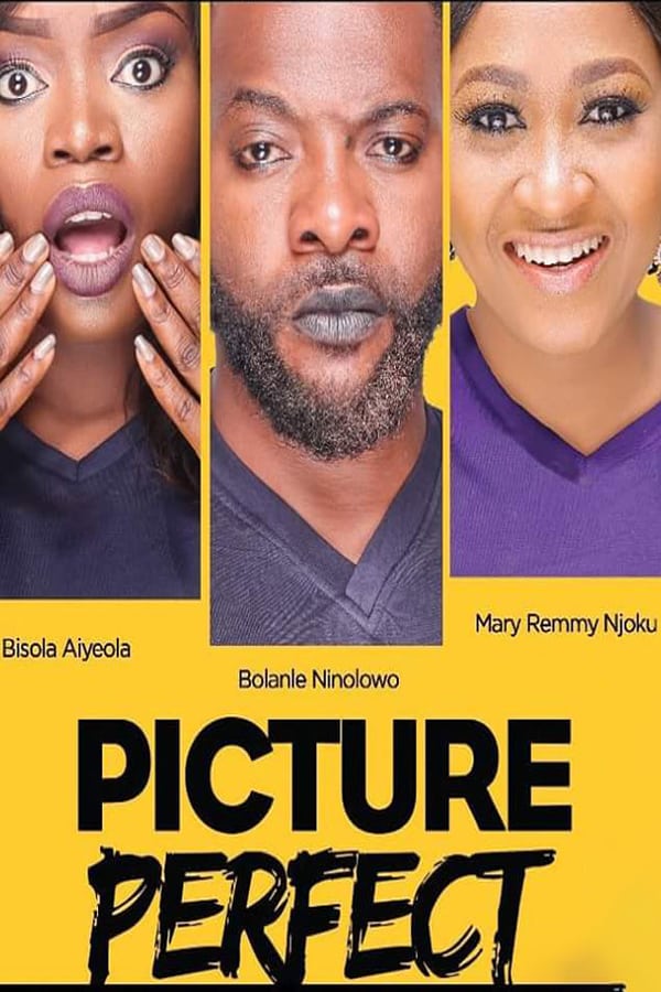 Cover of the movie Picture Perfect