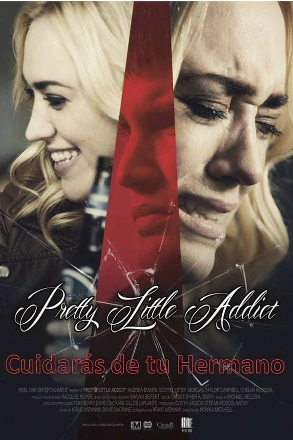 Cover of the movie Pretty Little Addict