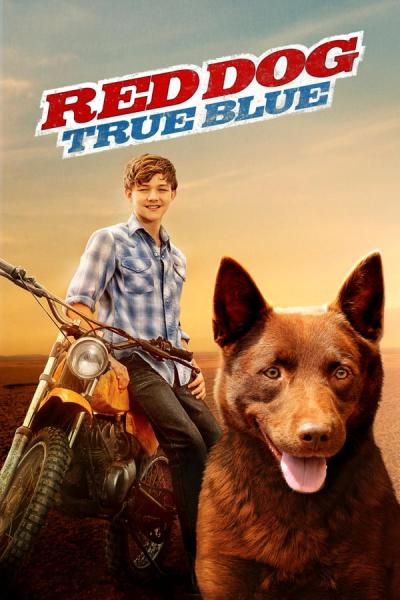 Cover of the movie Red Dog: True Blue
