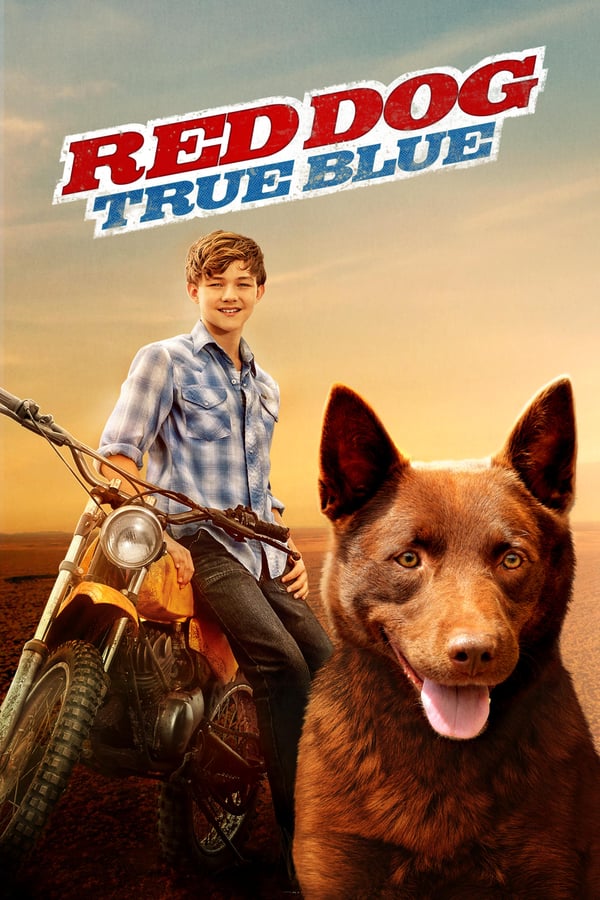 Cover of the movie Red Dog: True Blue