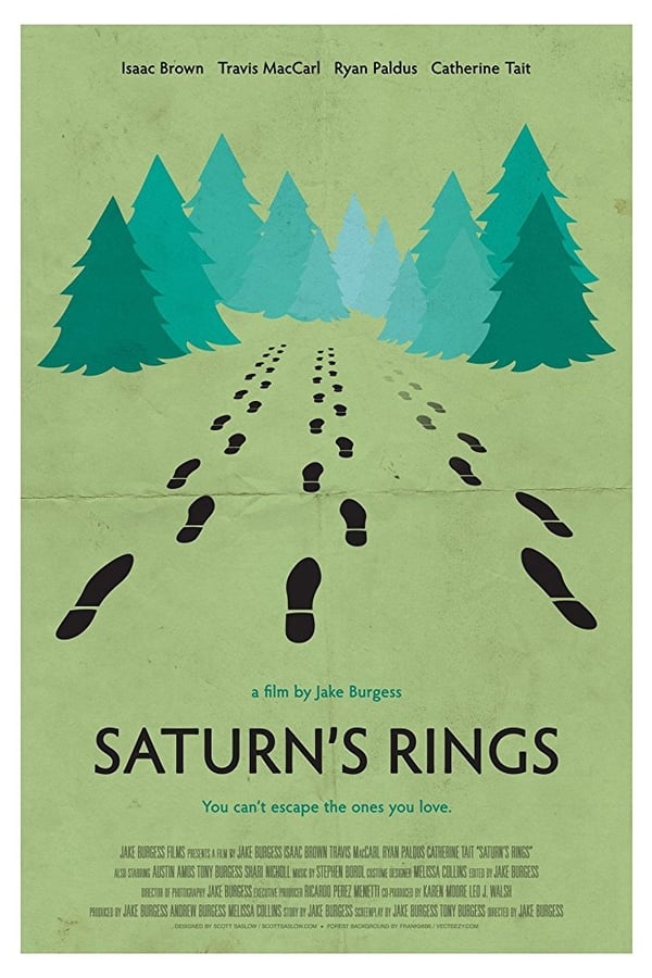 Cover of the movie Saturn's Rings