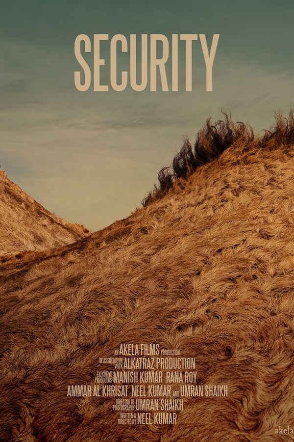 Cover of the movie Security