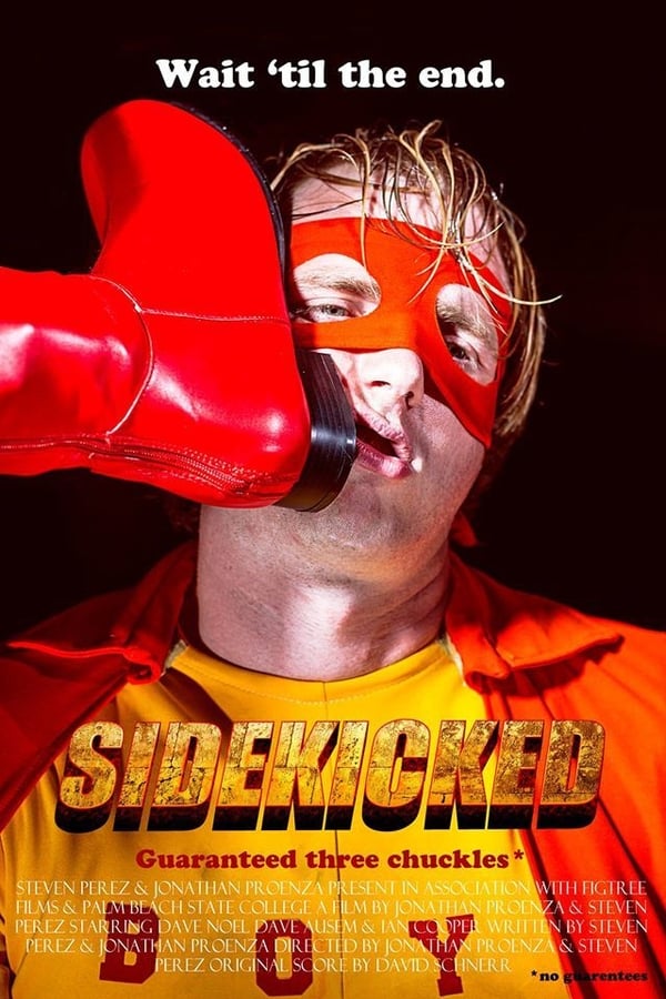 Cover of the movie SideKicked