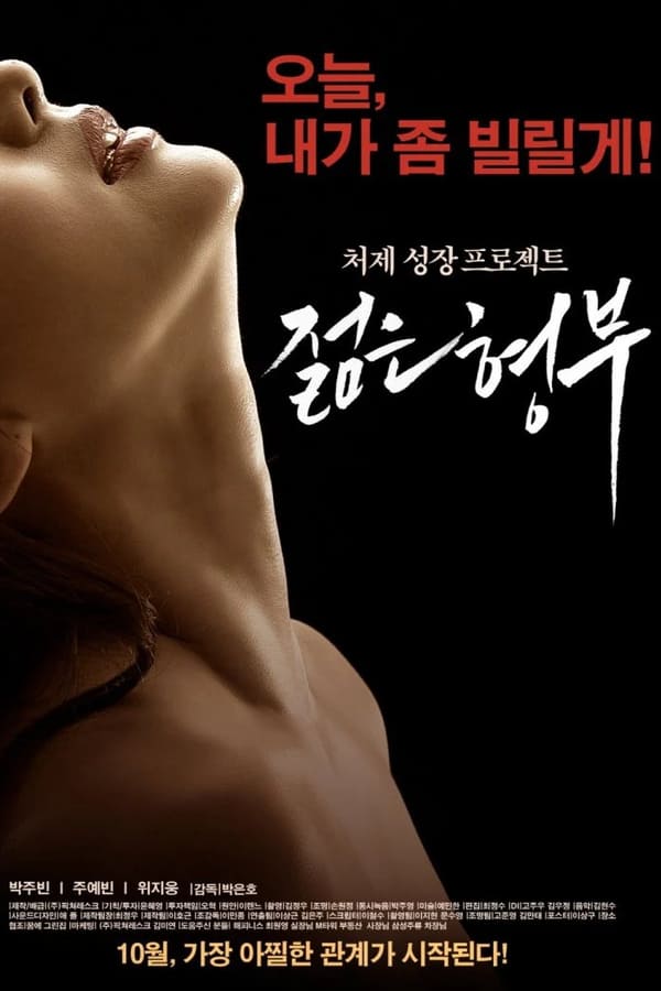 Cover of the movie Sister's Younger Husband