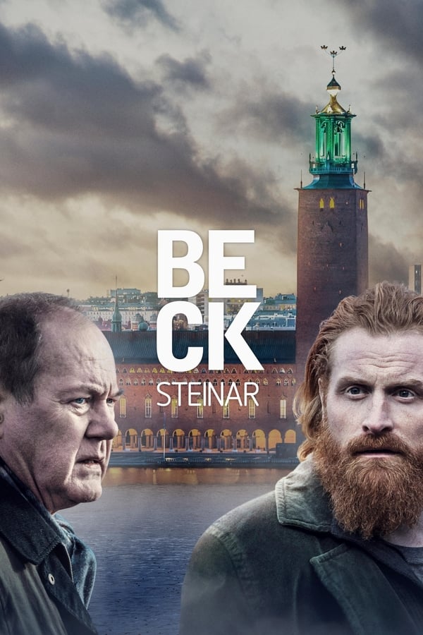 Cover of the movie Steinar