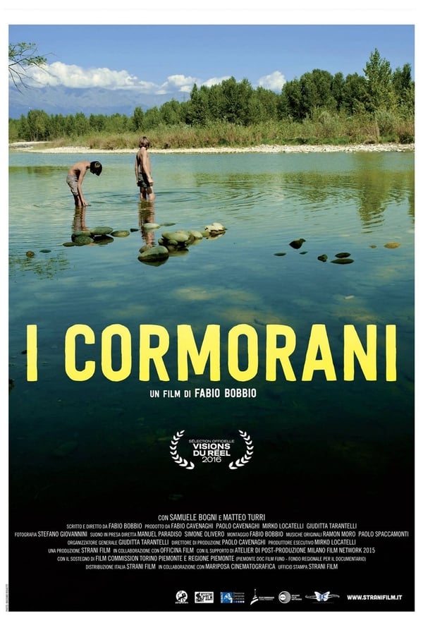 Cover of the movie The Cormorants