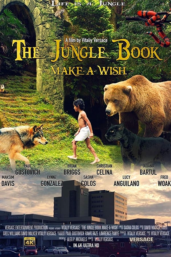 Cover of the movie The Jungle Book: Make-A-Wish