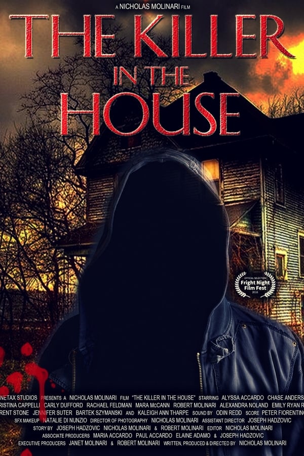 Cover of the movie The Killer in the House