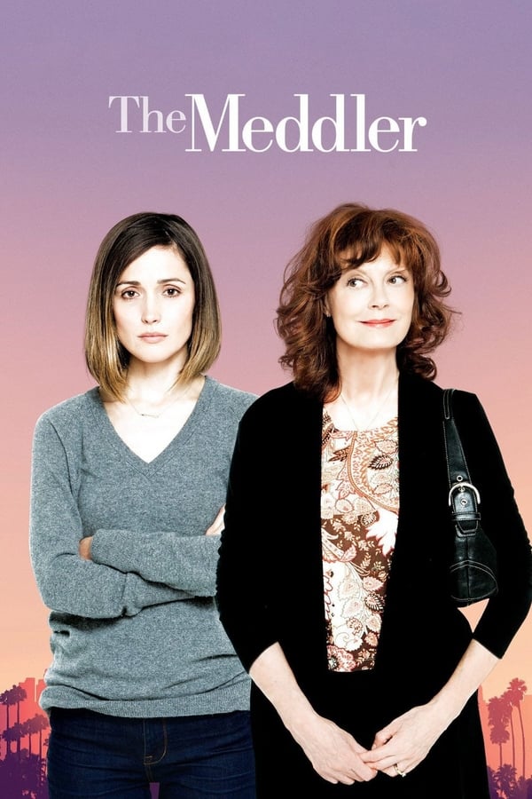 Cover of the movie The Meddler