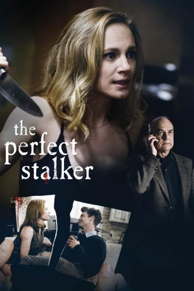 Cover of the movie The Perfect Stalker