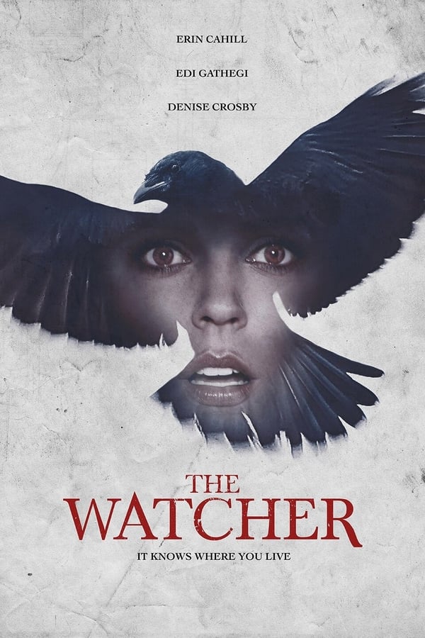 Cover of the movie The Watcher