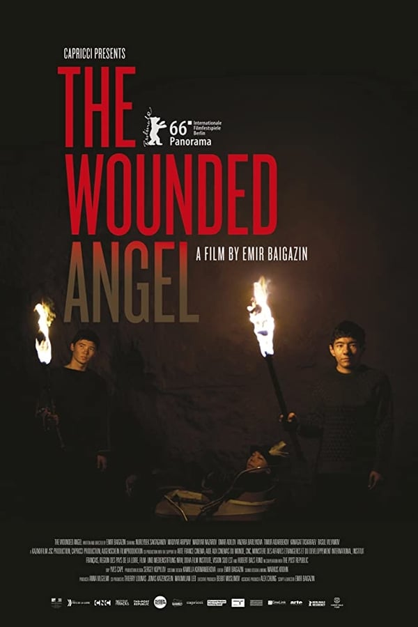 Cover of the movie The Wounded Angel