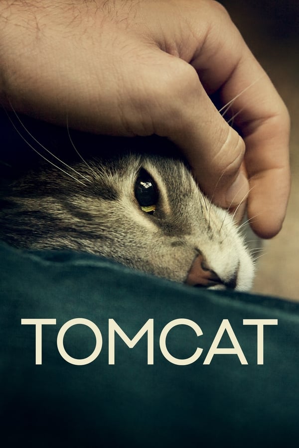 Cover of the movie Tomcat