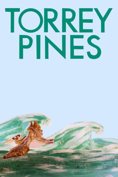 Cover of the movie Torrey Pines